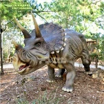 90% athchóiriú Triceratops