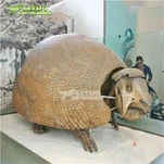Cnámharlach Glyptodon