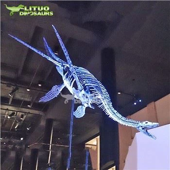 Iiontaiseach Plesiosaur